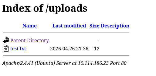 RootMe TXT Upload Test